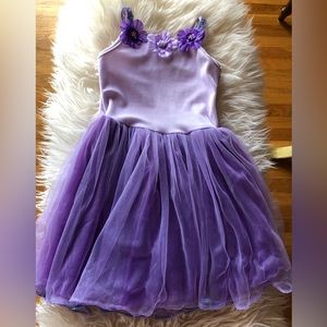 Princess express purple lilac flowers floral appliqué dress